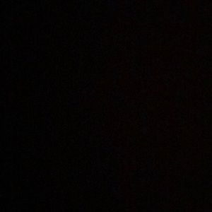 Meet your Posher, Carlee